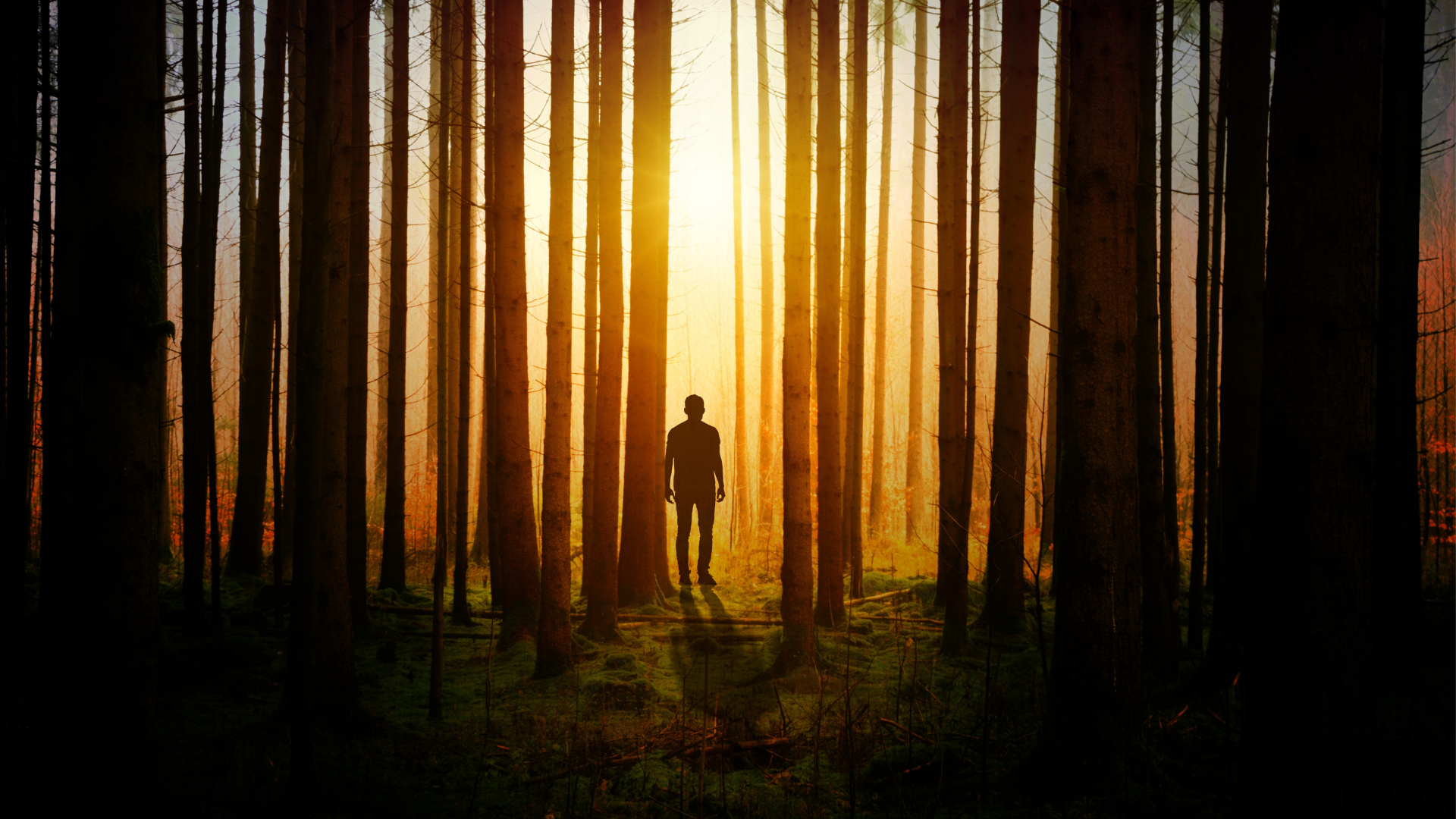 man-in-the-forest